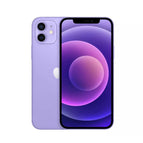 Purple / Fair